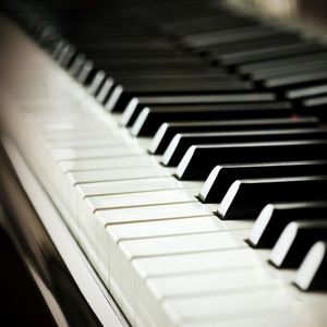 牲z0zo性内交另类
