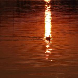 牲z0zo性内交另类
