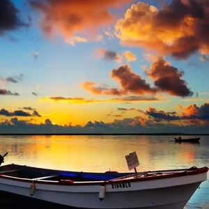 牲z0zo性内交另类
